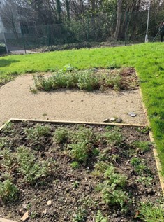 Small community garden